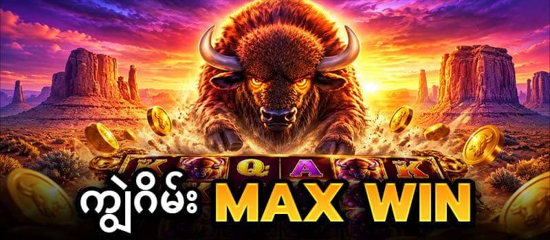 ကျွဲ ဂိမ်း Max win